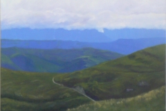 100 - View from Te Mata Peak by Gill Cannington | Oil   $470.00 | Size W 61 X H 50 cm