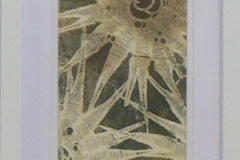 121 - Leaf Form by Sheryl Eustace | Solar Print | $125.00 |Size W 15 X H 20 cm