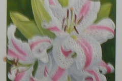 131 - Jen’s Lily 2 by Margaret Cudby | Oil | $195.00 | Size W 40 X H 50 cm