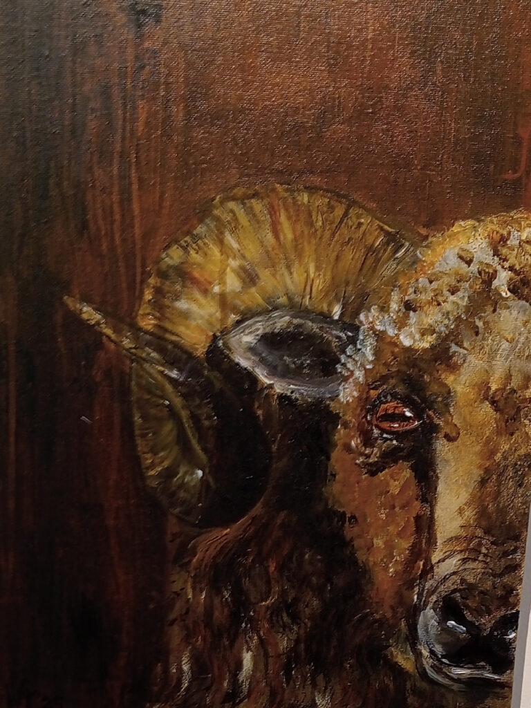 ram - Art Hawke's Bay